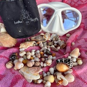 Assorted Seashells For Jewelry